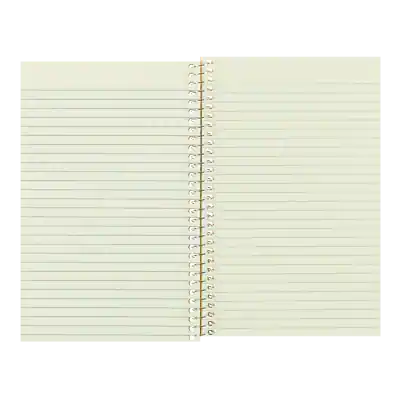 Rediform Board Cover 1 Subject Notebooks, 5