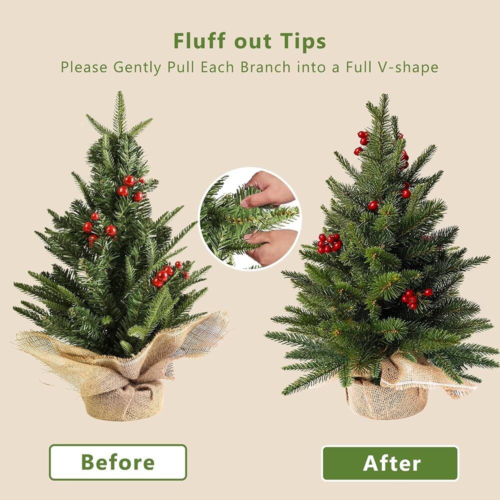 Fluff out Tips  
Please Gently Pull Each Branch into a Full V-shape  

Before  

After