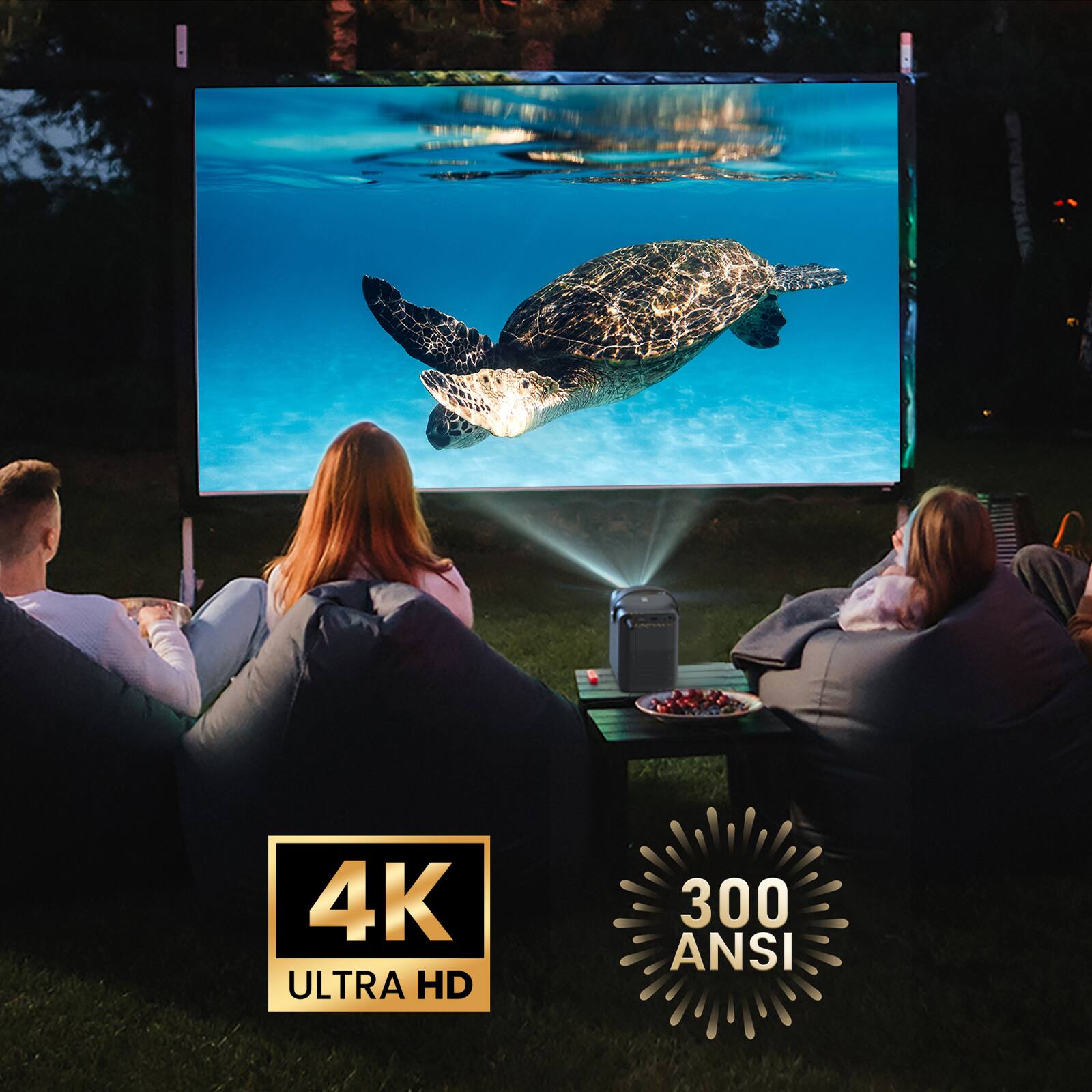 4K Ultra HD  
300 ANSI