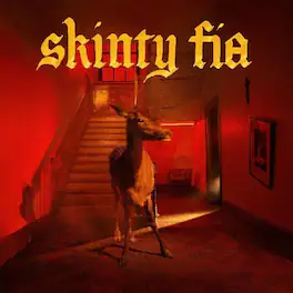 Fontaines D.C. - Skinty Fia - VINYL LP