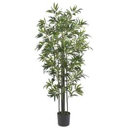 BreeBe - 6' Bamboo Tree ( Trunks) x 6 w/1160 Lvs - Green