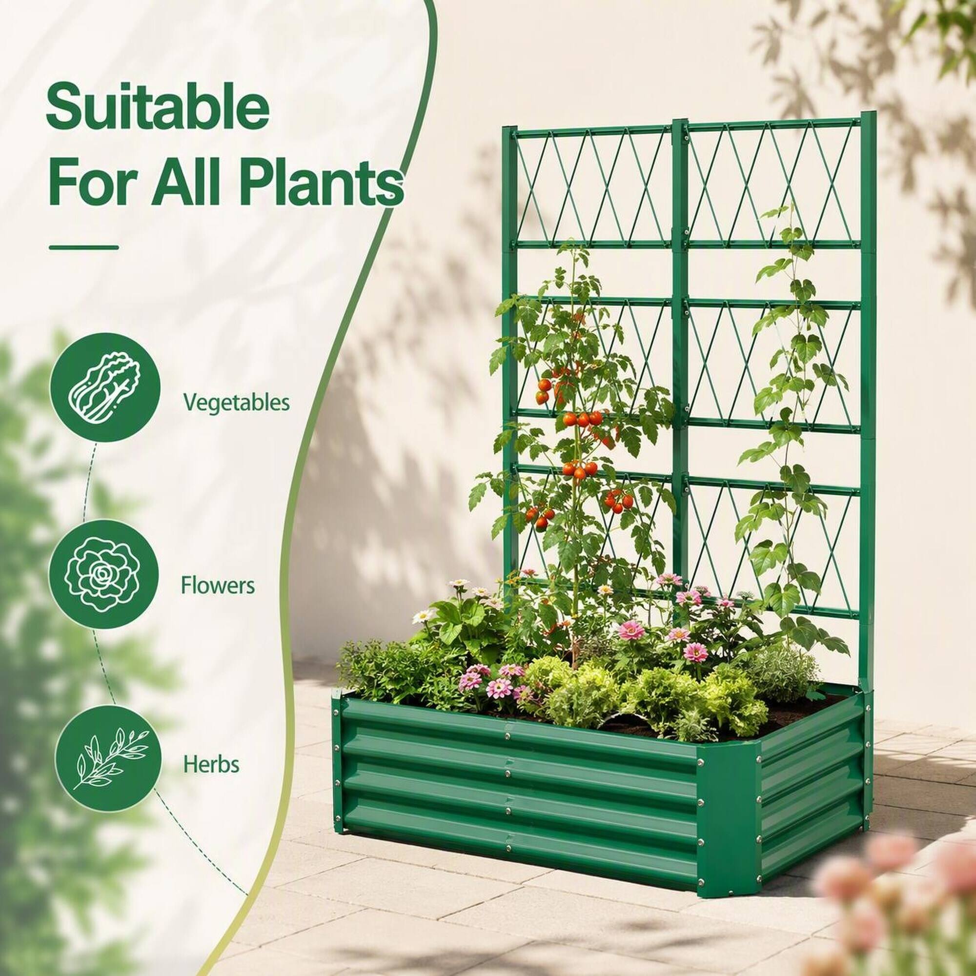 Suitable For All Plants

- Vegetables
- Flowers
- Herbs