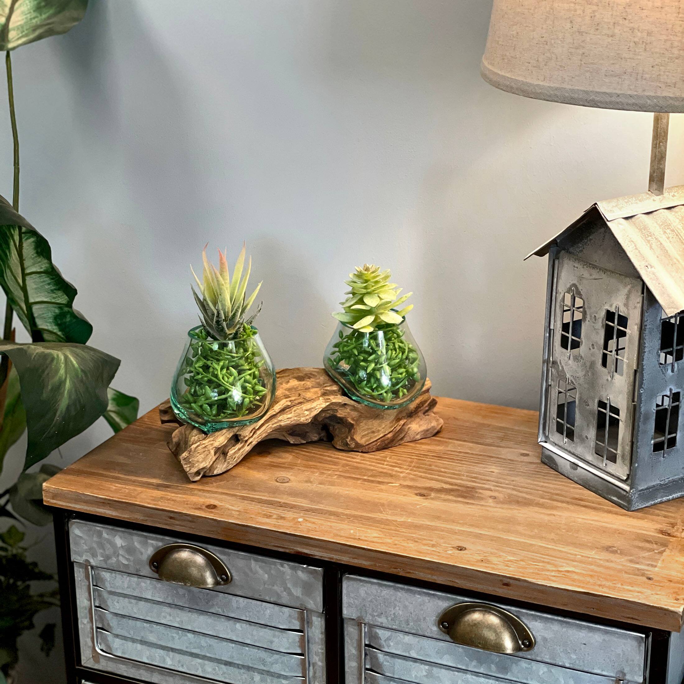 Alt View 5. Things2Die4 - 10.5" Double Molten Glass Bowls on Driftwood Hand Blown Planter Terrarium Decor - Natural.