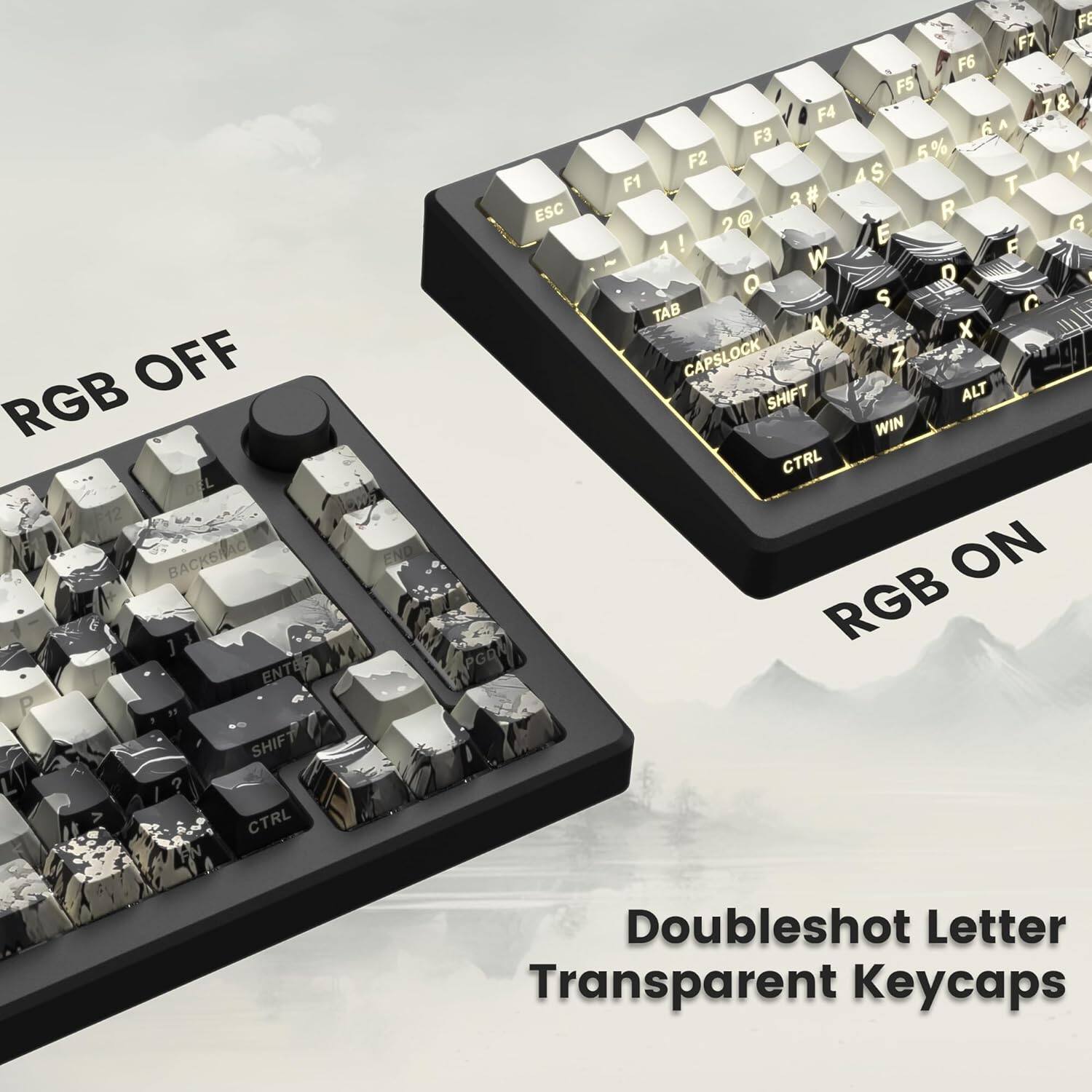 OFF RGB F12 F12//DEL BACKSPACE ENTER END PGUP ESC FE F7 F6 F5 F4 6 A F3 F2 5 % $ Y F1 T 3# 3 B E G 1 ! F W A Q S TAB X CAPSLOCK Z SHIFT ALT WIN CTRL ON RGB SHIFT CTRL Doubleshot Letter Transparent Keycaps