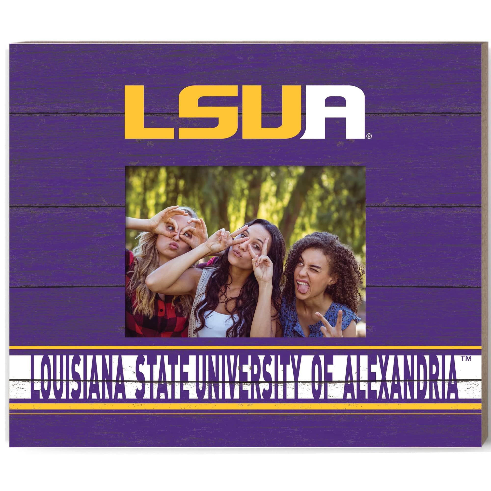 "Jardine - LSUA Generals 11"" x 13"" Team Spirit Scholastic Picture Frame - Purple" price history on PriceWatchPro