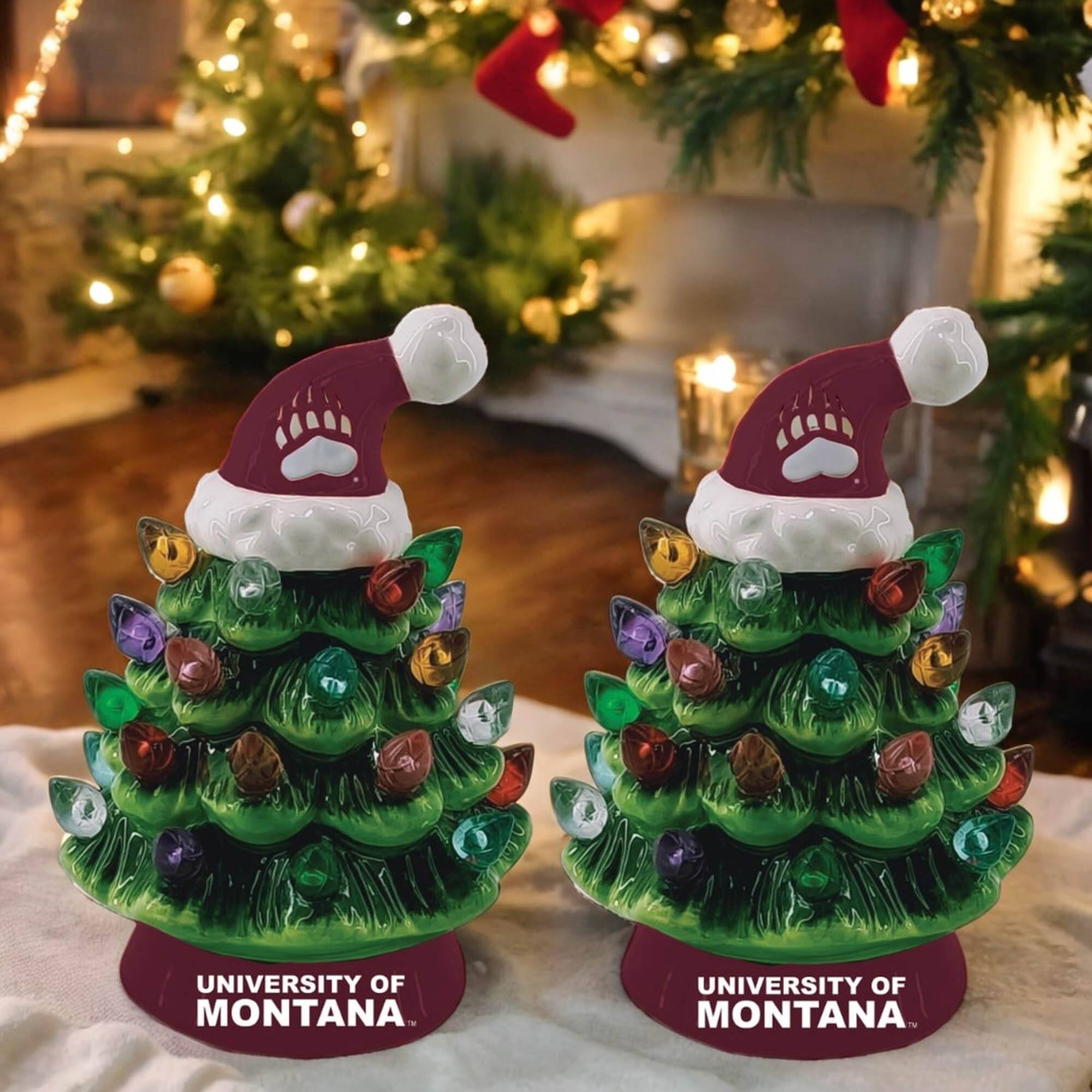 UNIVERSITY OF MONTANA  
UNIVERSITY OF MONTANA