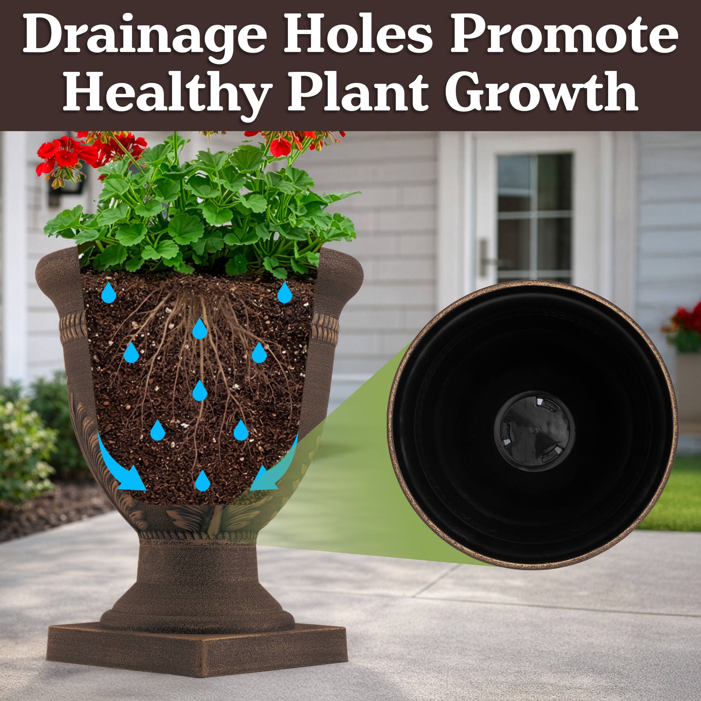 Drainage Holes Promote Healthy Plant Growth
