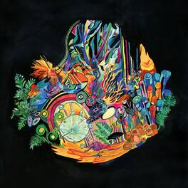 Kaitlyn Aurelia Smith - Ears - VINYL LP