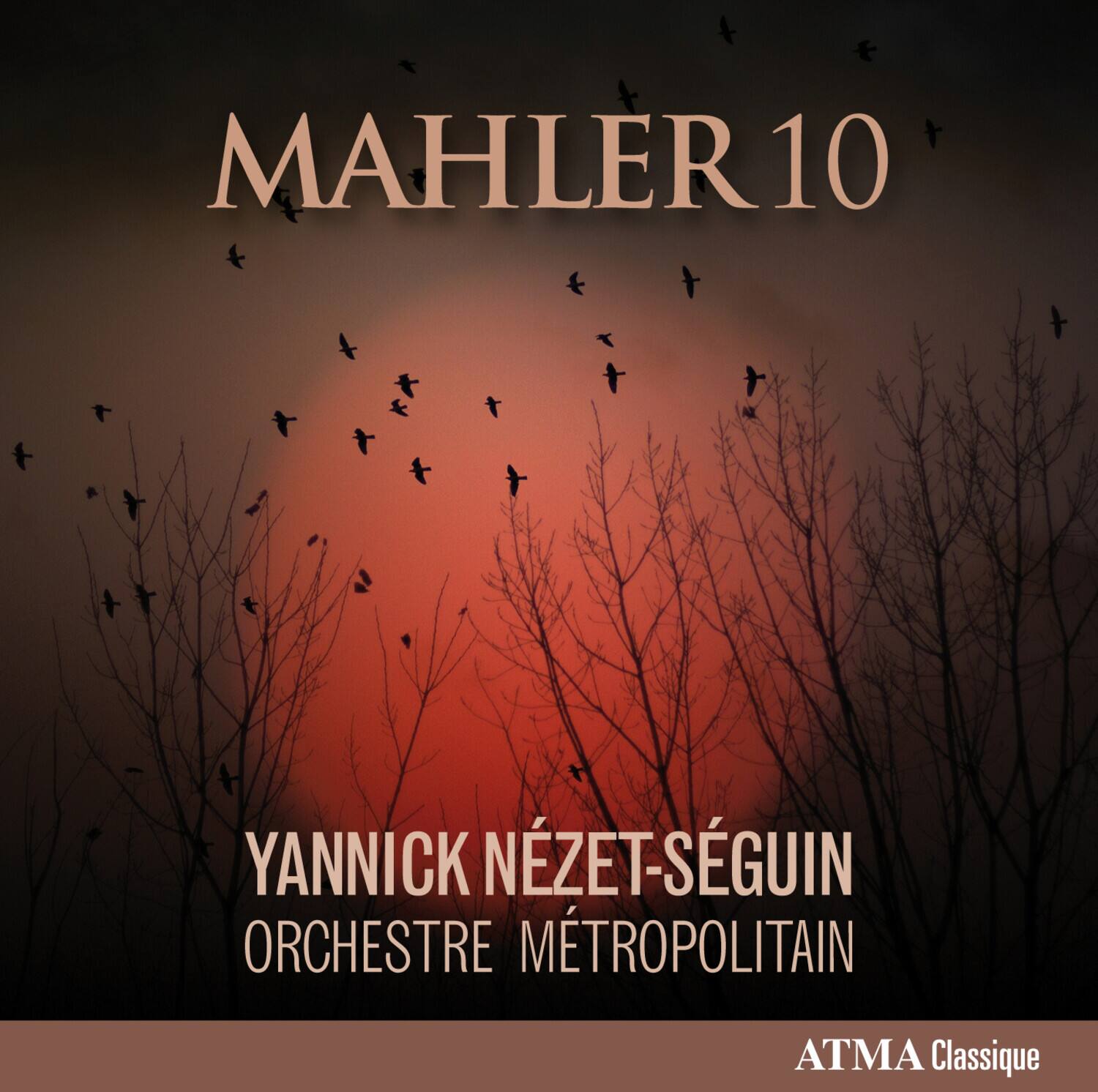 Mahler / Orchestre Metropolitain / Nezet-Seguin - Mahler 10   - COMPACT DISCS [CD] price history on PriceWatchPro