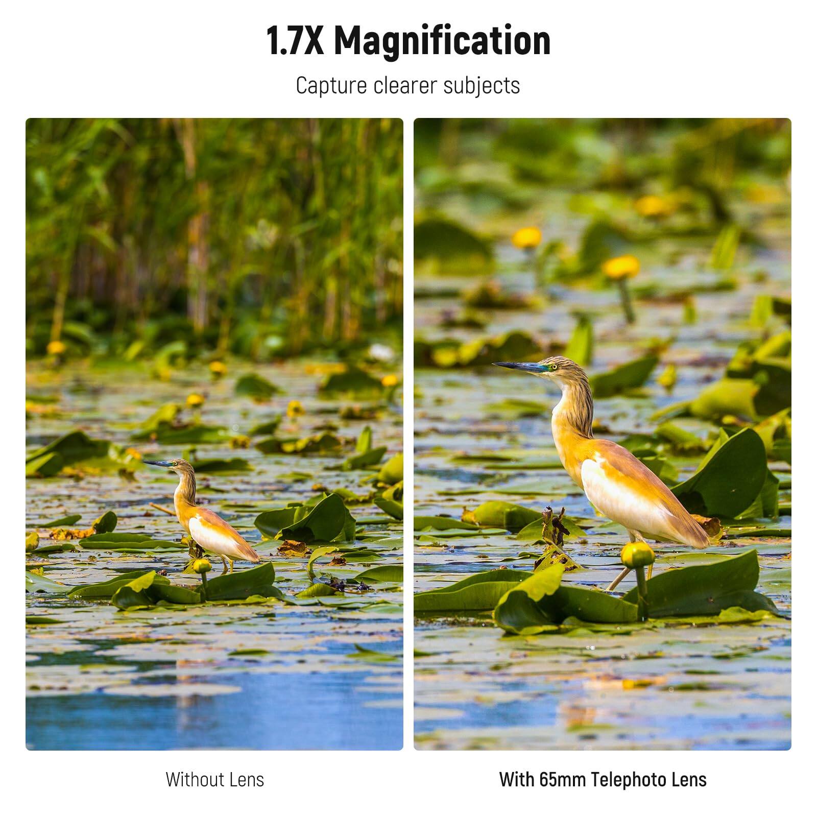 1.7X Magnification  
Capture clearer subjects  

Without Lens  

With 65mm Telephoto Lens