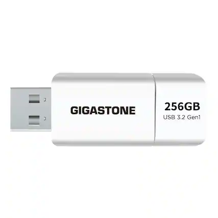 GIGASTONE 256GB USB 3.2 Gen1