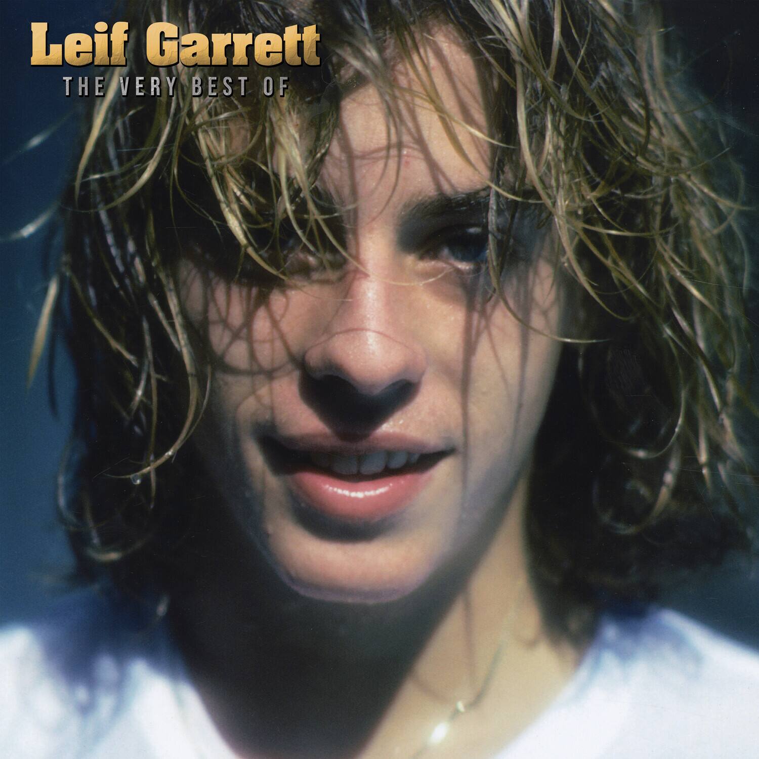 Leif Garrett - The Very Best Of - Blue   - VINYL LP price history on PriceWatchPro