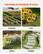 Versatile for Multiple Scenes
Courtyard
Lawn
Garden
Roadside