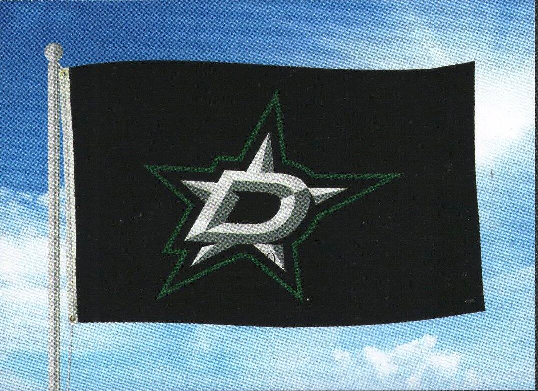 Rico Industries - Dallas Stars NHL 3X5 Indoor or Outdoor Banner Flag with grommets for hanging - Multi