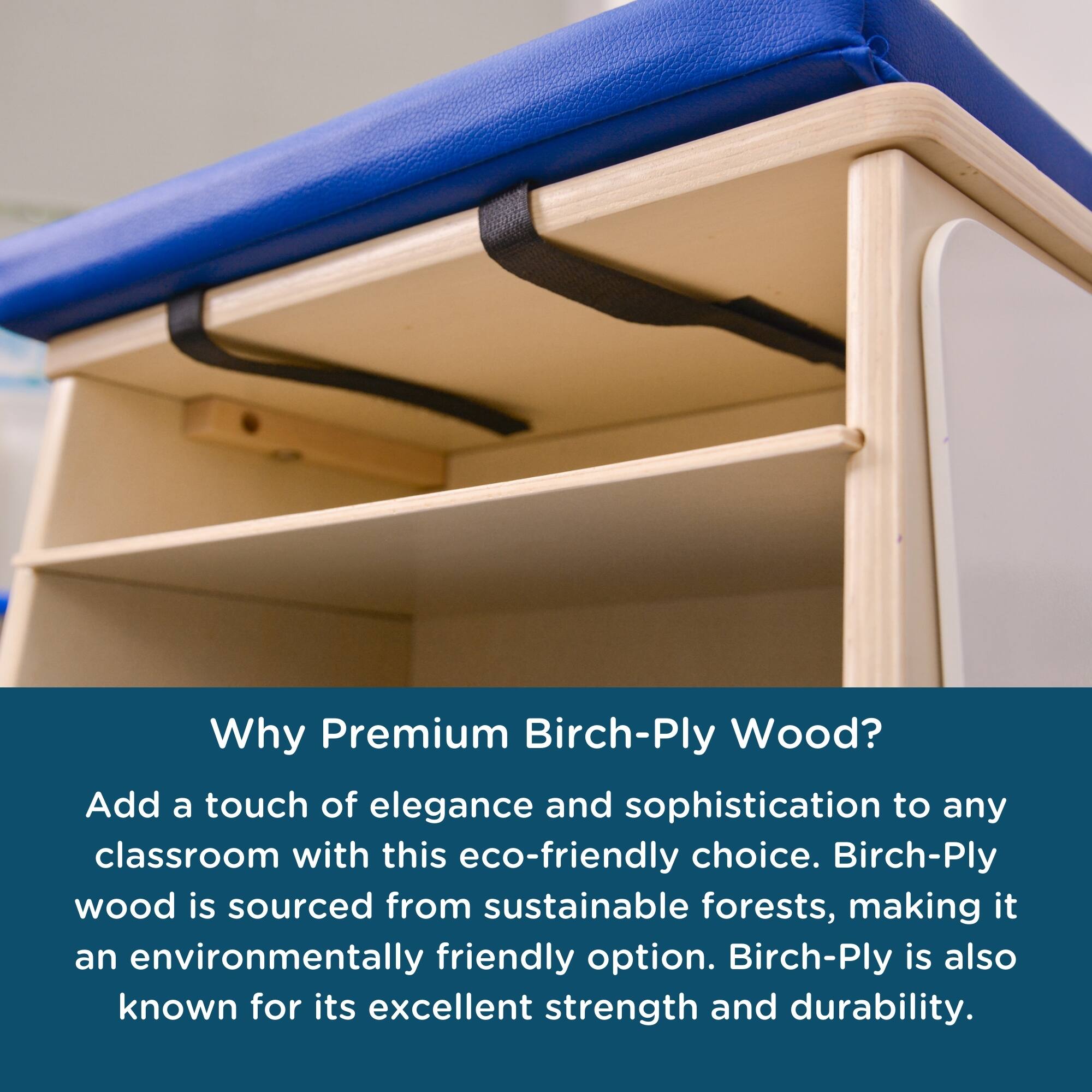 Why Premium Birch-Ply Wood?

Add a touch of elegance and sophistication to any classroom with this eco-friendly choice. Birch-Ply wood is sourced from sustainable forests, making it an environmentally friendly option. Birch-Ply is also known for its excellent strength and durability.