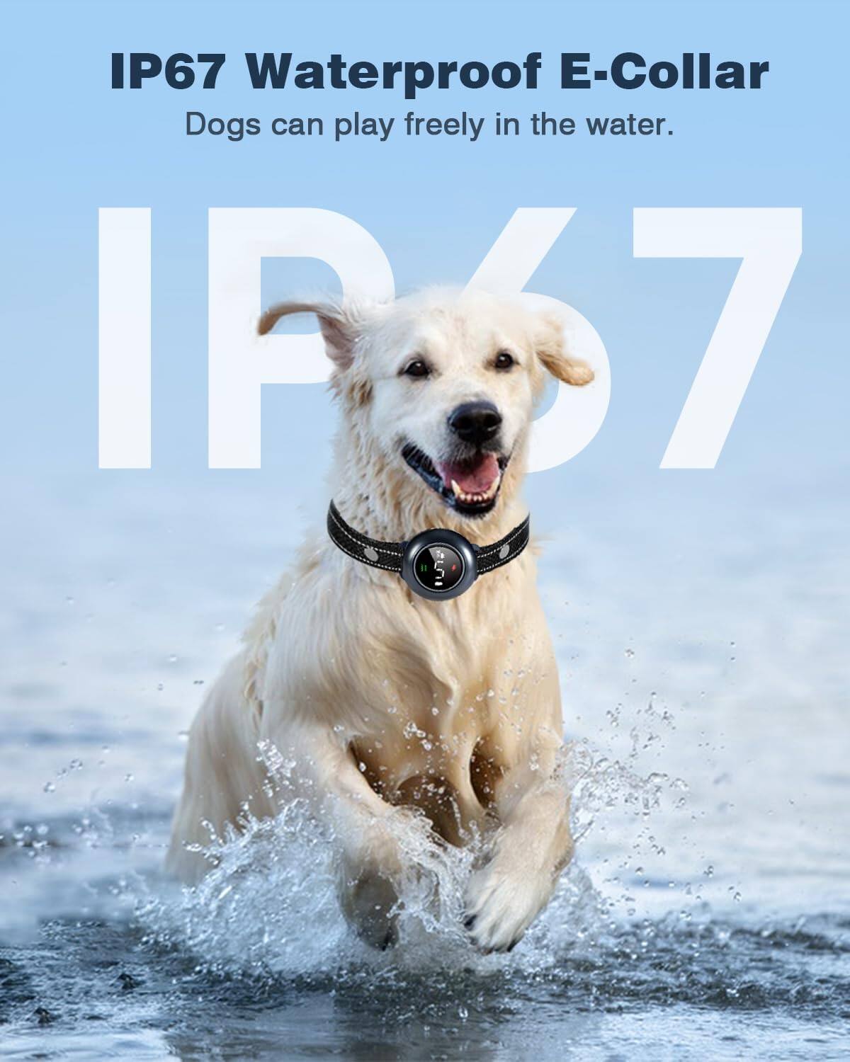 IP67 Waterproof E-Collar  
Dogs can play freely in the water.