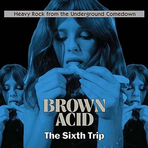 Various Artists - Brown Acid - The Sixth Trip (Various Artists)   - VINYL LP price history on PriceWatchPro
