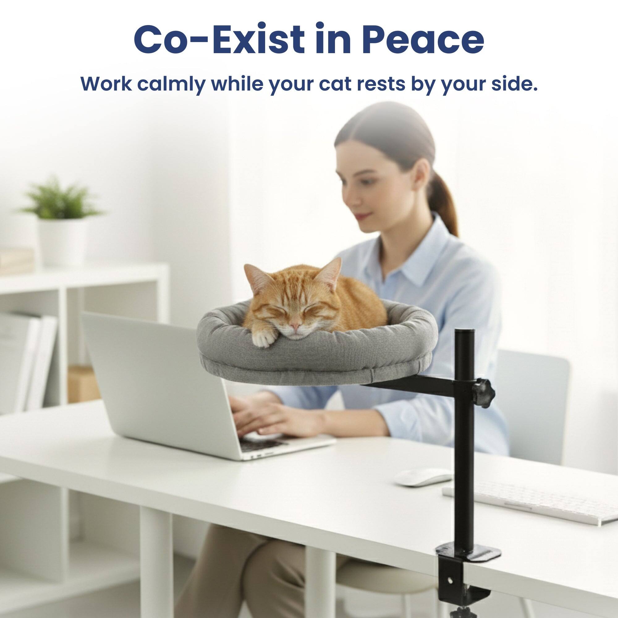 Co-Exist in Peace  
Work calmly while your cat rests by your side.