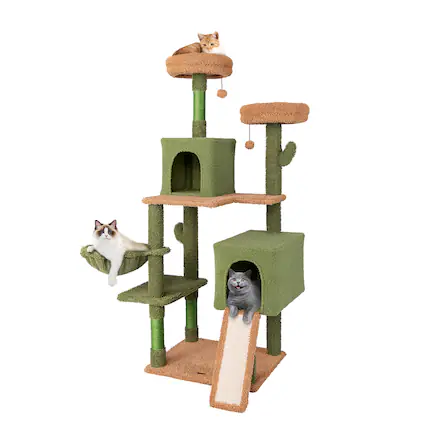 Front. Gymax - Gymax 63'' Cactus Cat Tree for Indoor Cats w/Sisal Scratching Posts & Ladder Basket Bed.