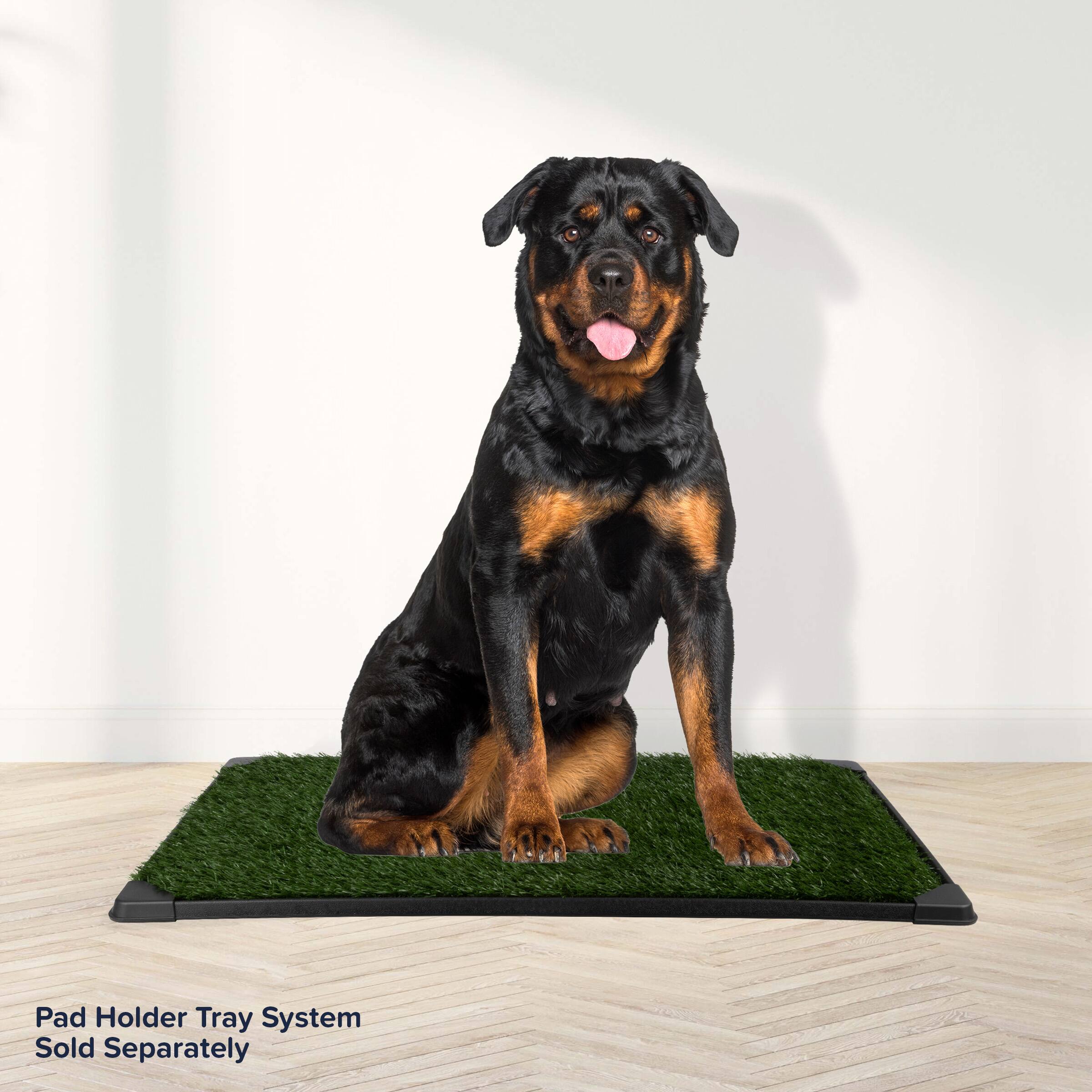 Pad Holder Tray System  
Sold Separately