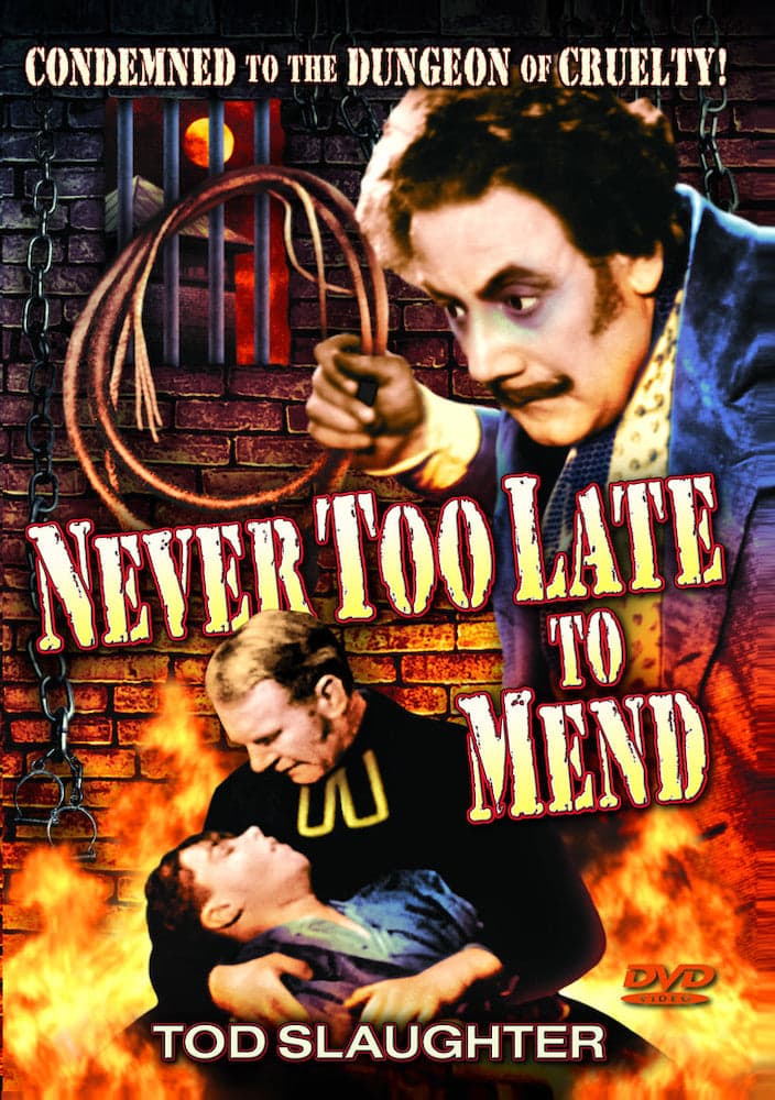 Never Too Late To Mend - DVD price history on PriceWatchPro