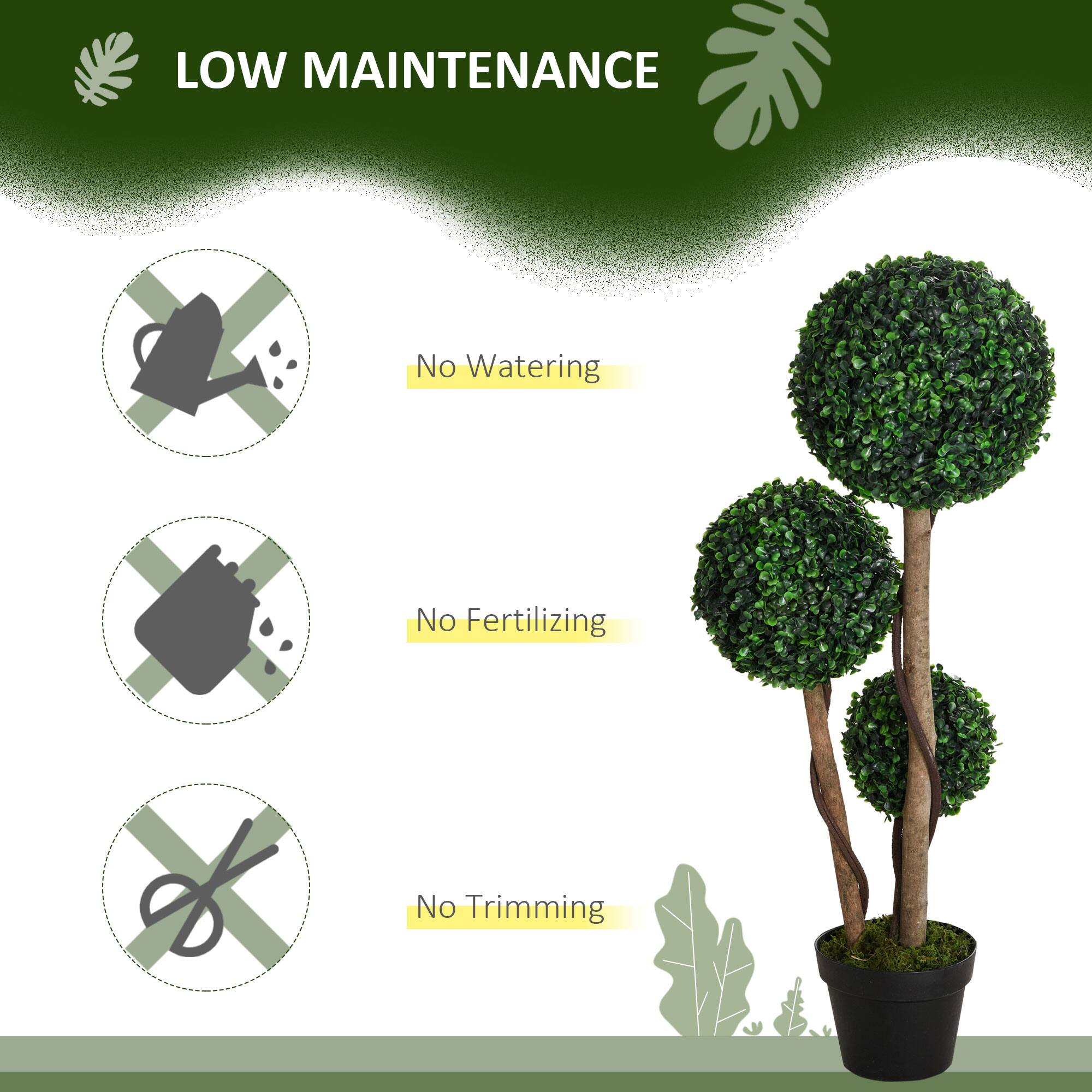 LOW MAINTENANCE
No Watering
No Fertilizing
No Trimming