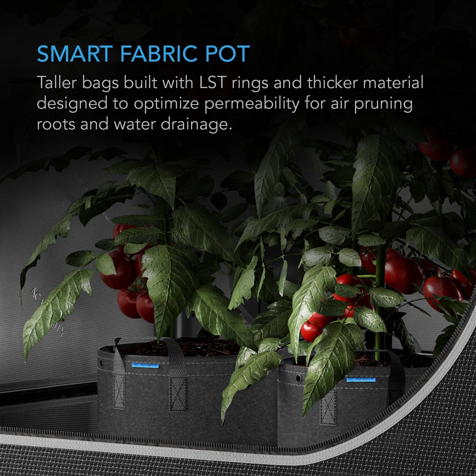SMART FABRIC POT  
Taller bags built with LST rings and thicker material designed to optimize permeability for air pruning roots and water drainage.