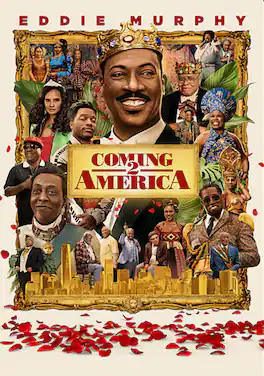 Coming 2 America - DVD