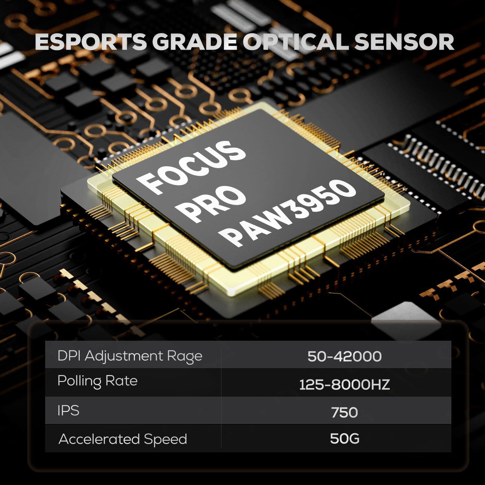 ESPORTS GRADE OPTICAL SENSOR

FOCUS PRO PAW3950

DPI Adjustment Range: 50-42000  
Polling Rate: 125-8000HZ  
IPS: 750  
Accelerated Speed: 50G