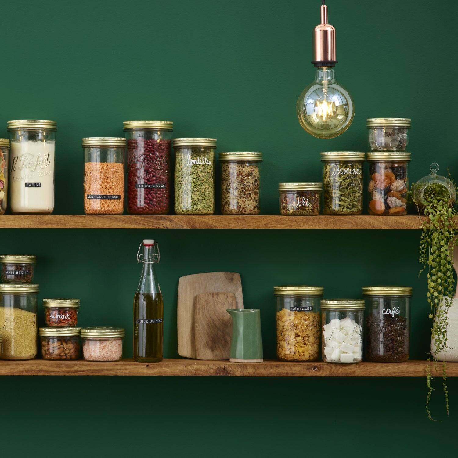 Pf a FA C FARING UL CARICOTS BECS lentille nerveine LINTILLE n CORAS th ANTS STOLI riment MUILE D. N CERALES caf