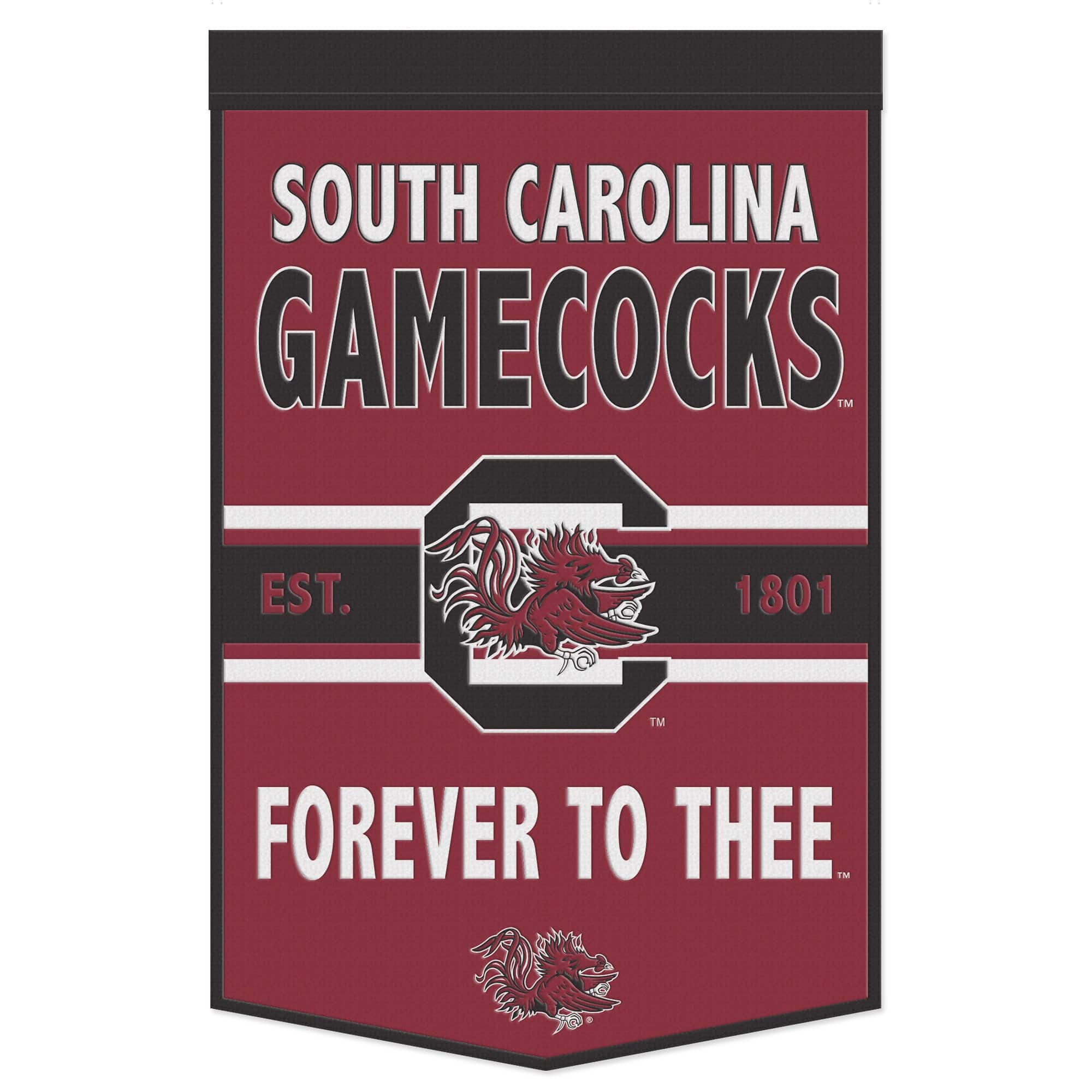 WinCraft - South Carolina Gamecocks 24" x 38" Slogan Banner - Multicolor