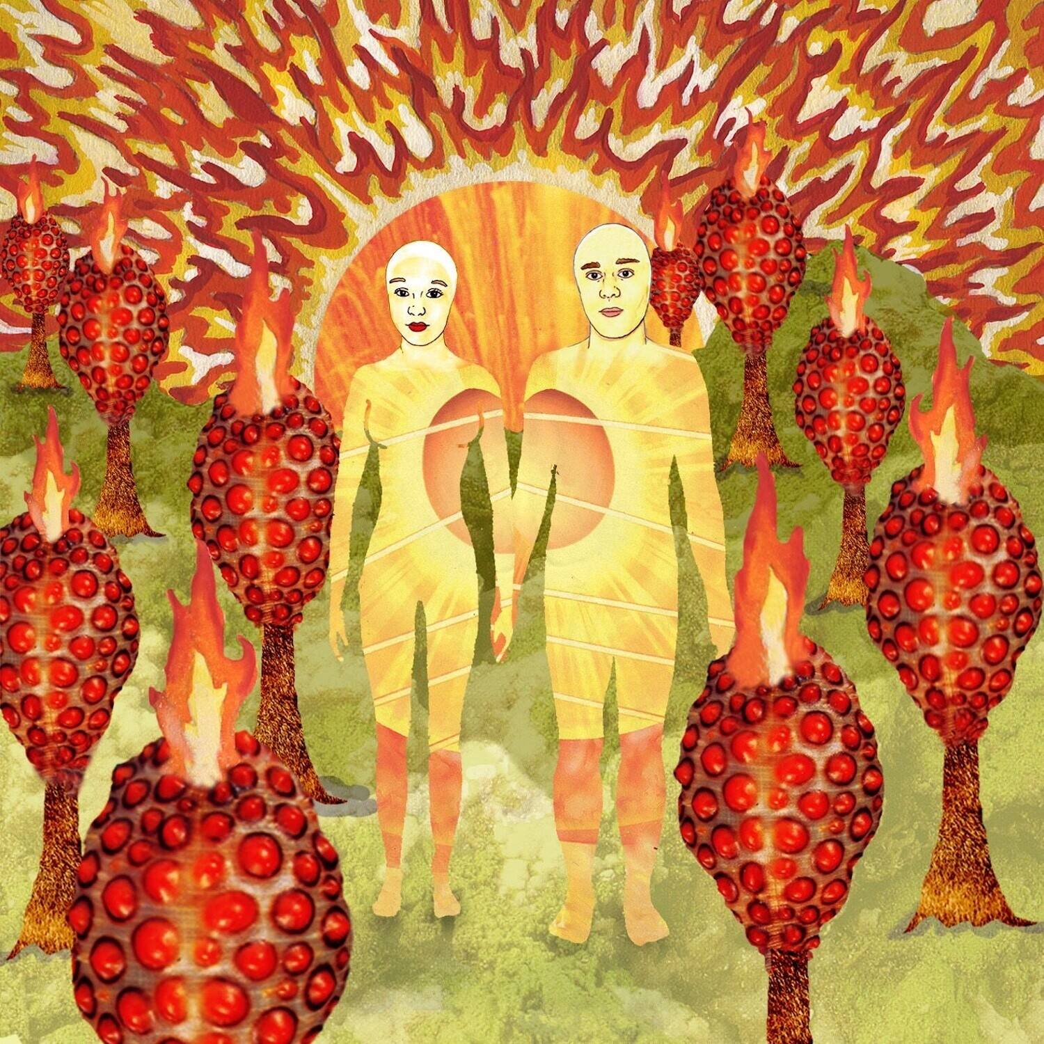 Alt View 1. Of Montreal - The Sunlandic Twins - 20th Anniversary Edition  - VINYL LP.