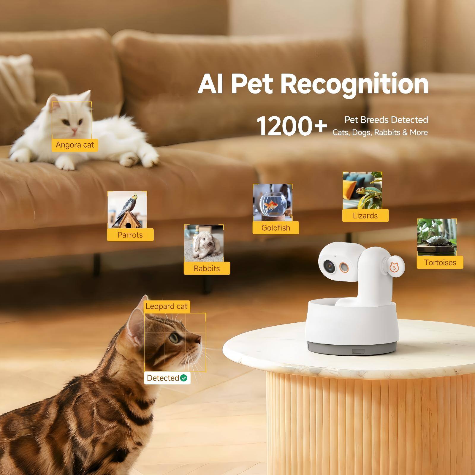AI Pet Recognition  
1200+ Pet Breeds Detected  
Cats, Dogs, Rabbits & More  

Angora cat  
Parrots  
Goldfish  
Lizards  
Rabbits  
Tortoises  
Leopard cat Detected
