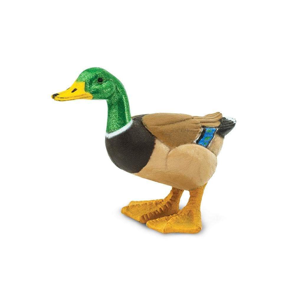 Front. Safari Ltd. - Duck Toy Figurine.