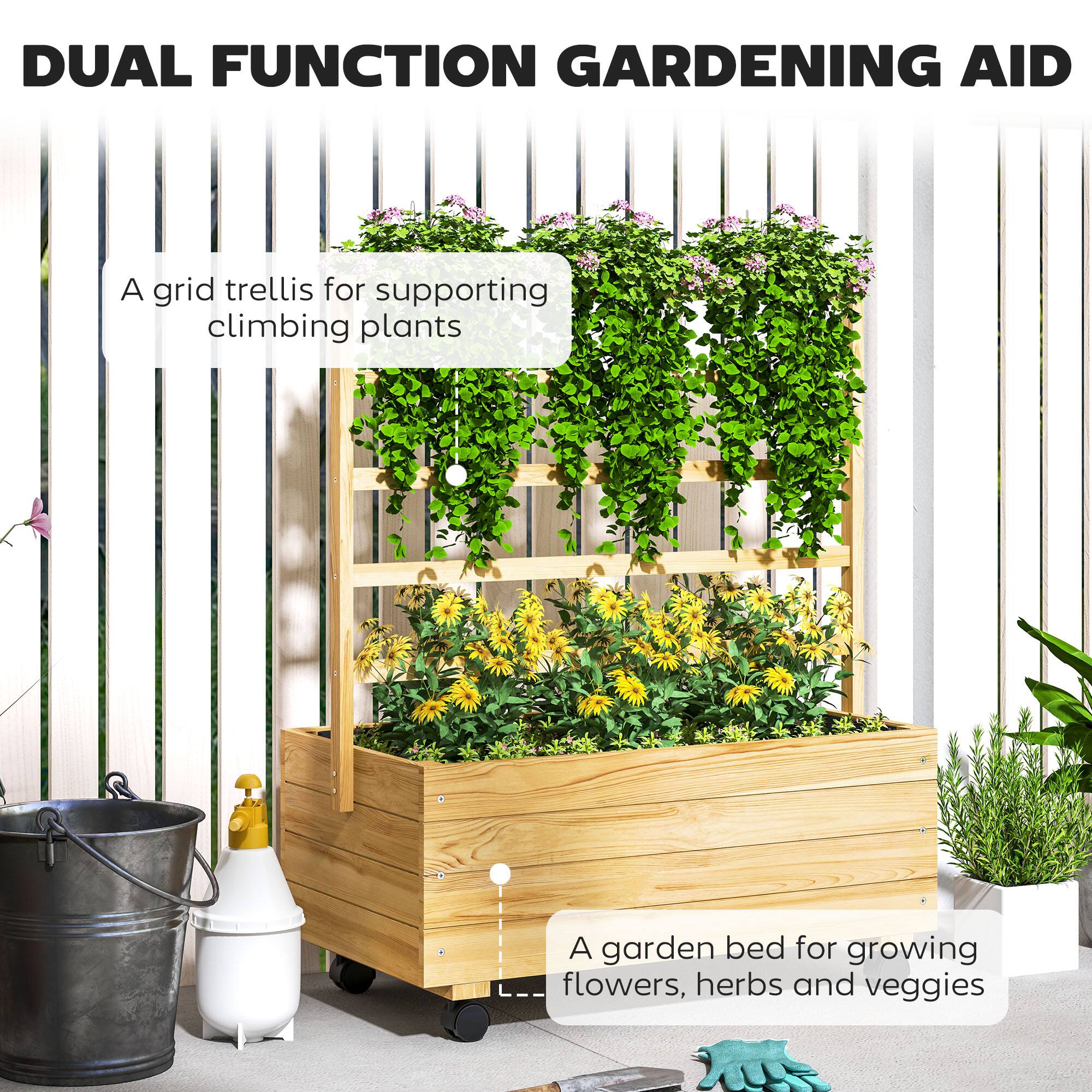 DUAL FUNCTION GARDENING AID
A grid trellis for supporting climbing plants
A garden bed for growing flowers, herbs and veggies
