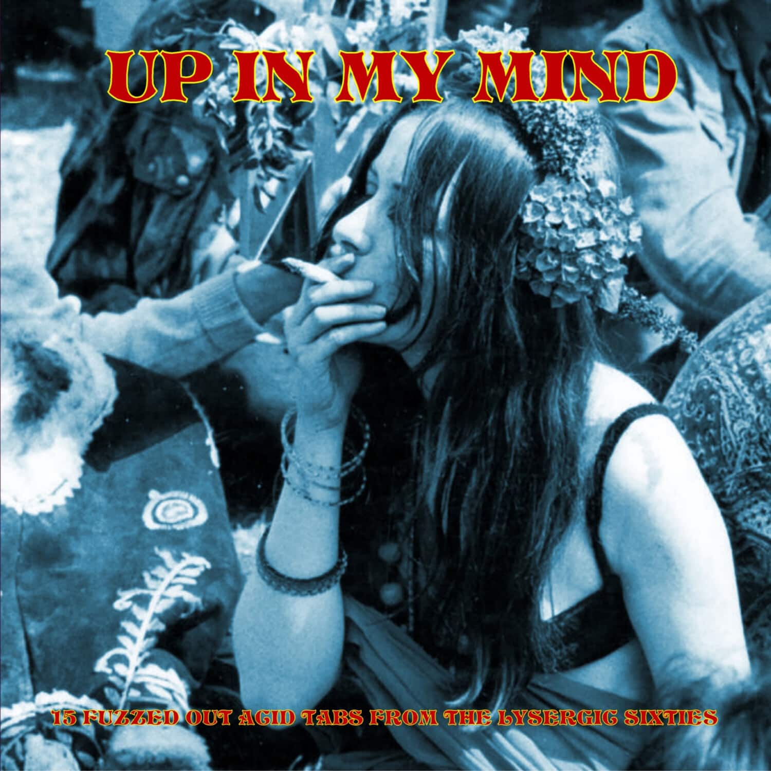Petruta Kupper - Up In My Mind:15 Fuzzed Out Acid Tabs From The Lysergic Sixties   - VINYL LP price history on PriceWatchPro