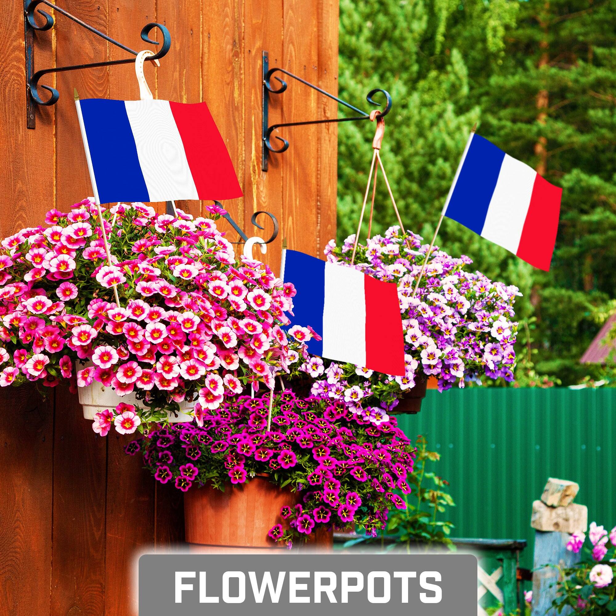 Angle. G128 - 12-Pack Handheld France Flags — 8 x 12 in, 150D Polyester, Wooden Stick with Gold Spear. - Assorted Colors.