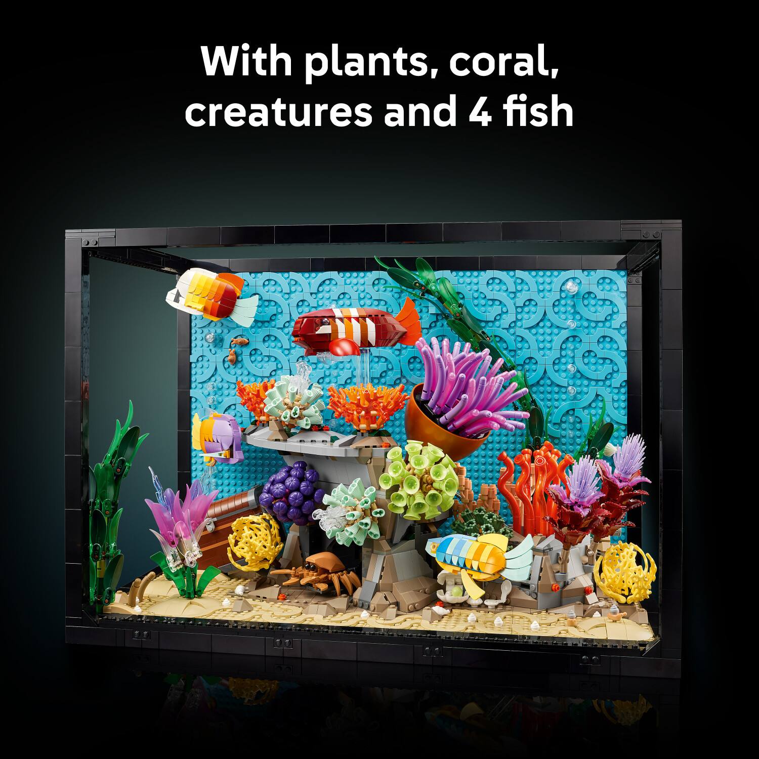 With plants, coral, creatures and 4 fish