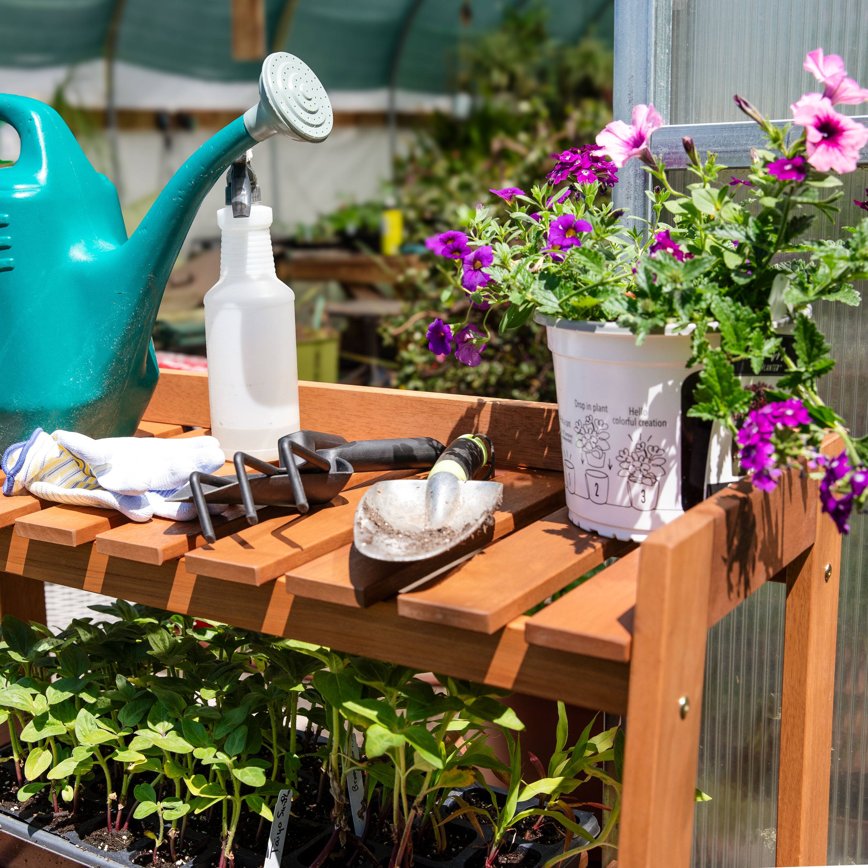 Sure, here is the corrected and grouped text from the image:

- "One in plant colorful creation"
- "Hel a Juholm creation 2 3 SuR u Br A"