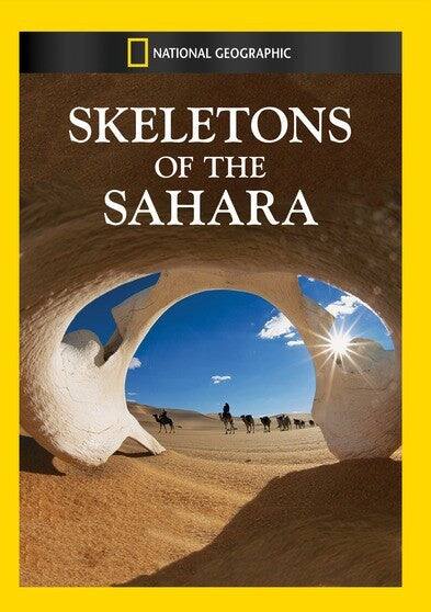 Skeletons of The Sahara - DVD