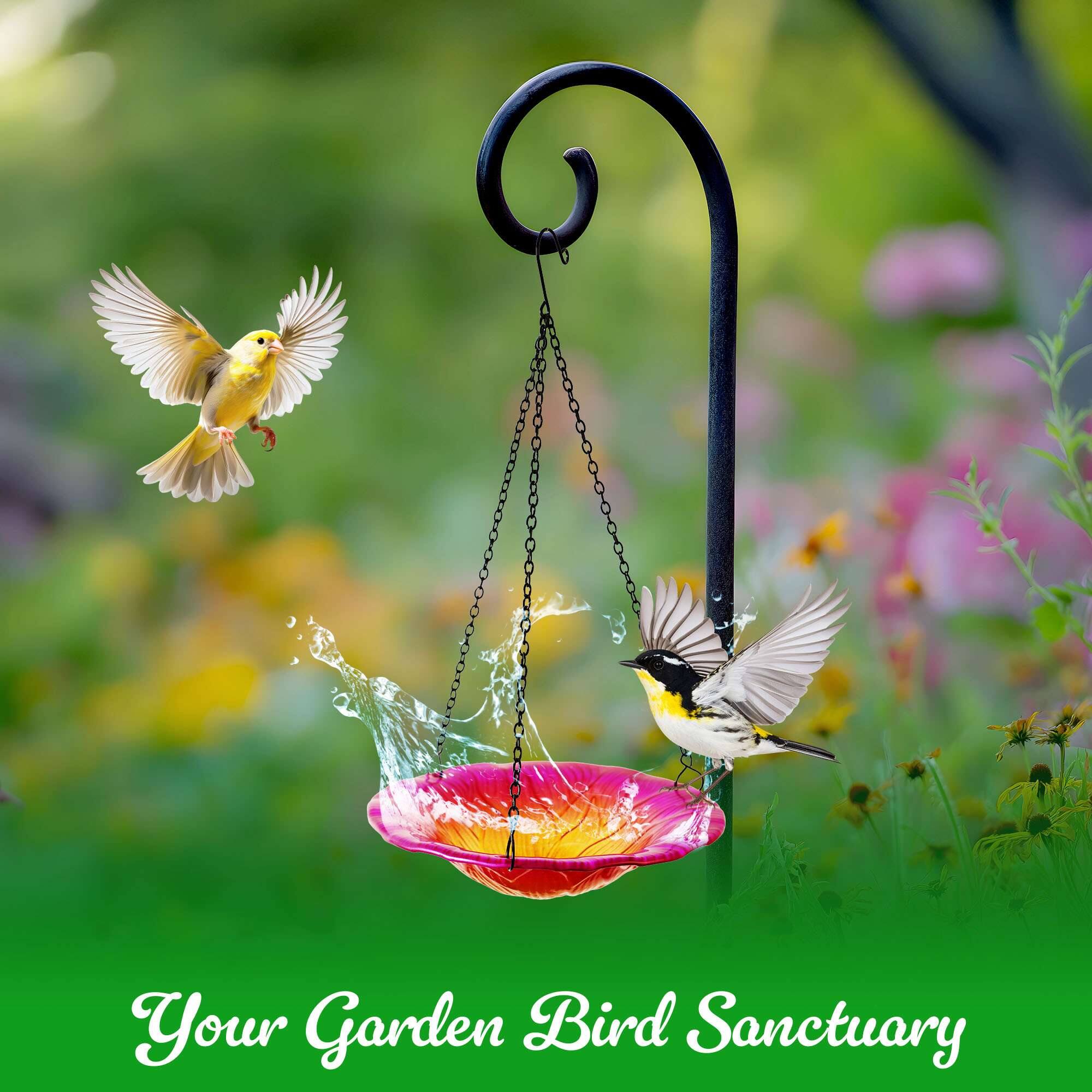Your Garden Bird Sanctuary