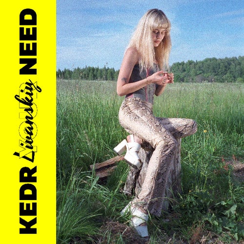 Kedr Livanskiy - Your Need   - COMPACT DISCS [CD] price history on PriceWatchPro