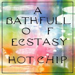 Hot Chip - Bath Full Of Ecstasy - VINYL LP