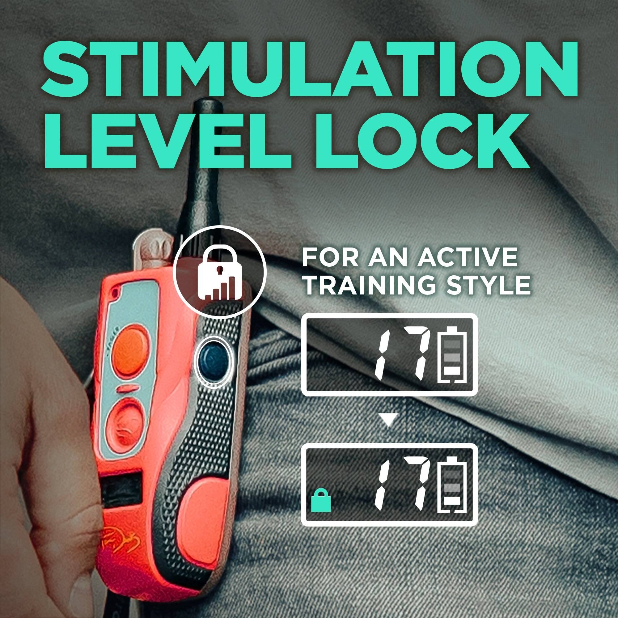 STIMULATION LEVEL LOCK  
FOR AN ACTIVE TRAINING STYLE  
170  
170