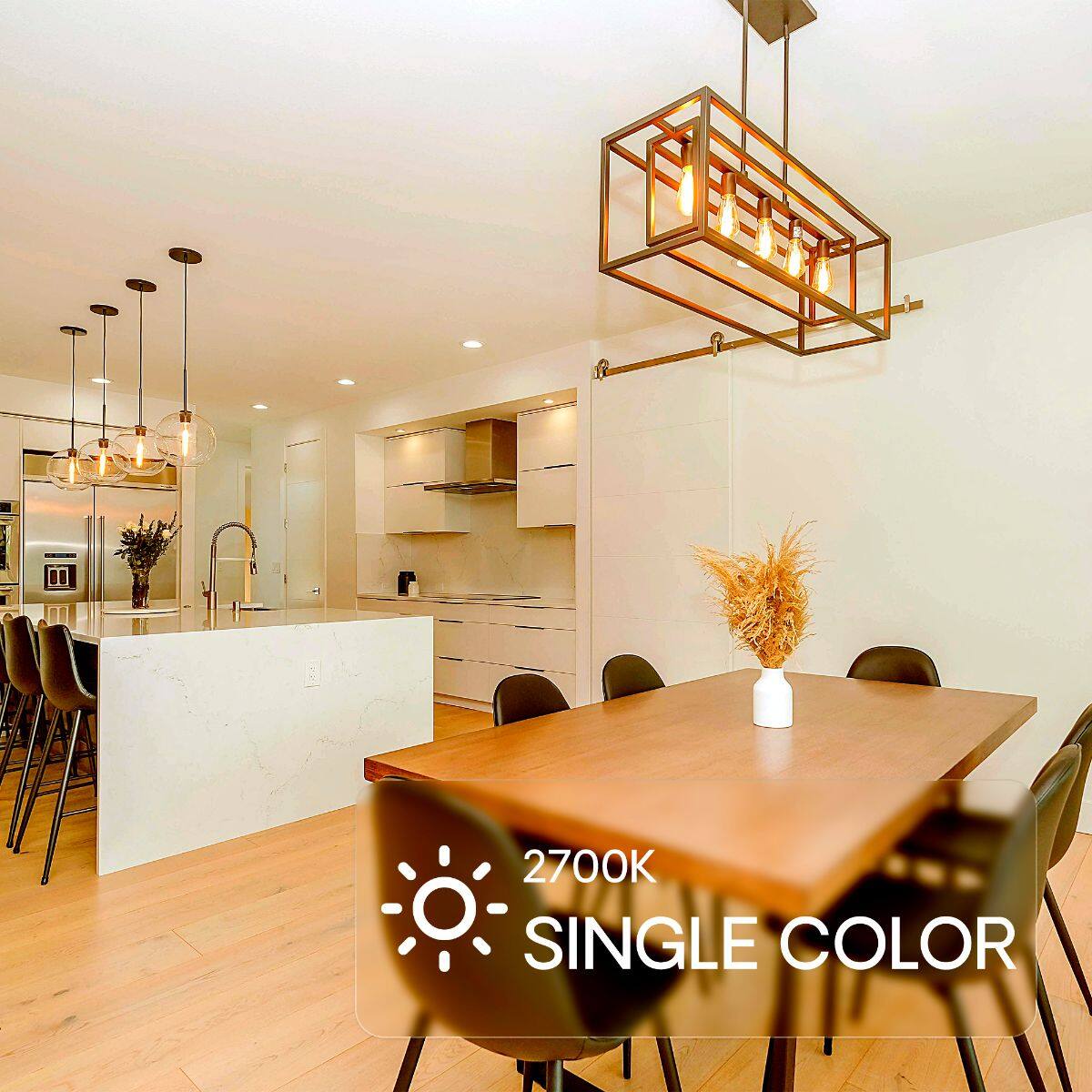 2700K SINGLE COLOR
