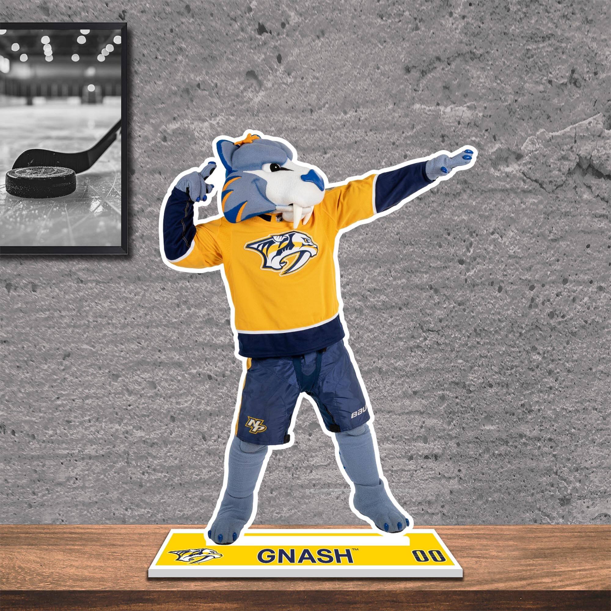 GNASH 00