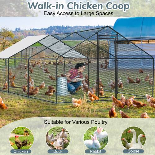 Walk-in Chicken Coop  
Easy Access to Large Spaces  

Suitable for Various Poultry  
- Chicken  
- Duck  
- Rabbit  
- Goose