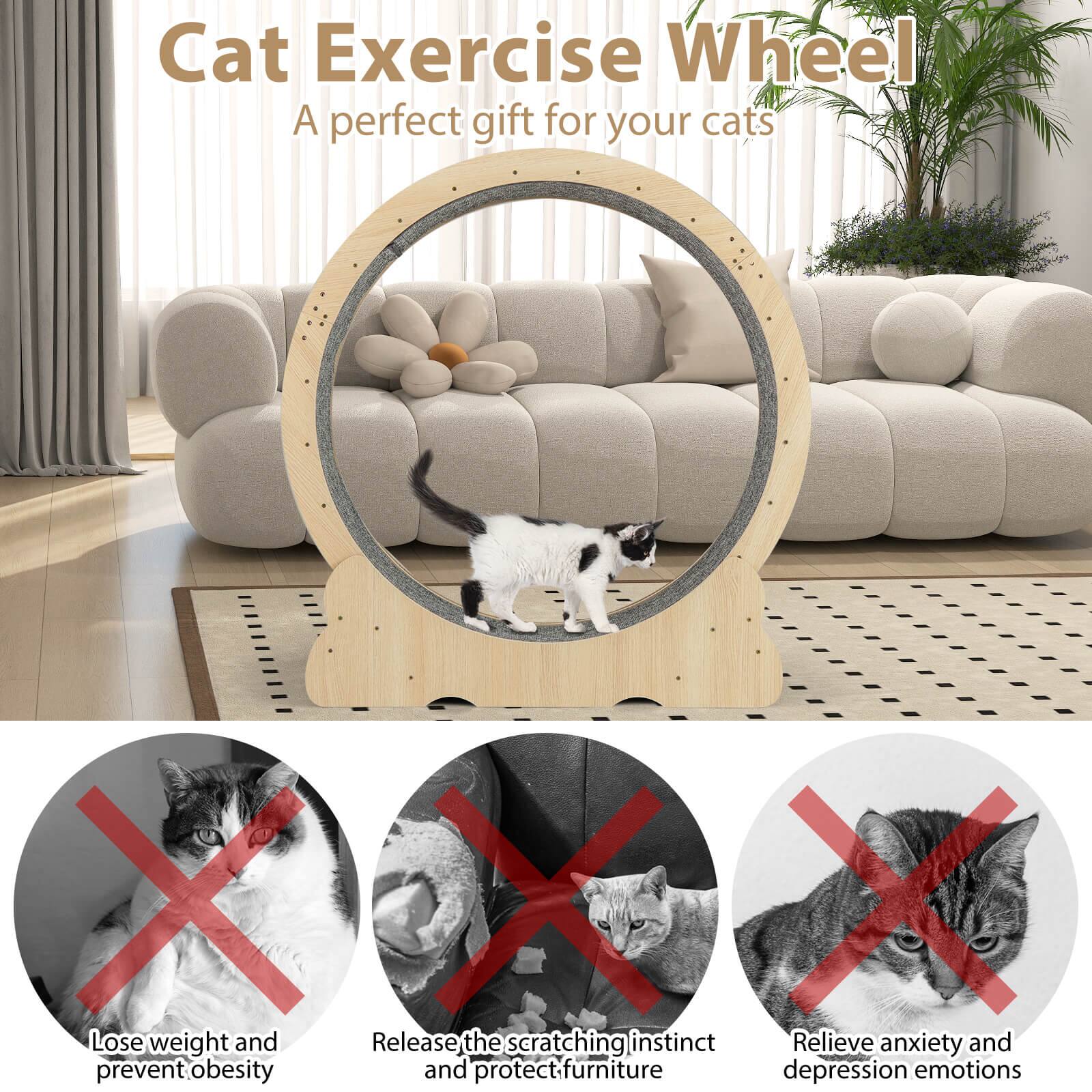 Cat Exercise Wheel  
A perfect gift for your cats  

- Lose weight and prevent obesity  
- Release the scratching instinct and protect furniture  
- Relieve anxiety and depression emotions
