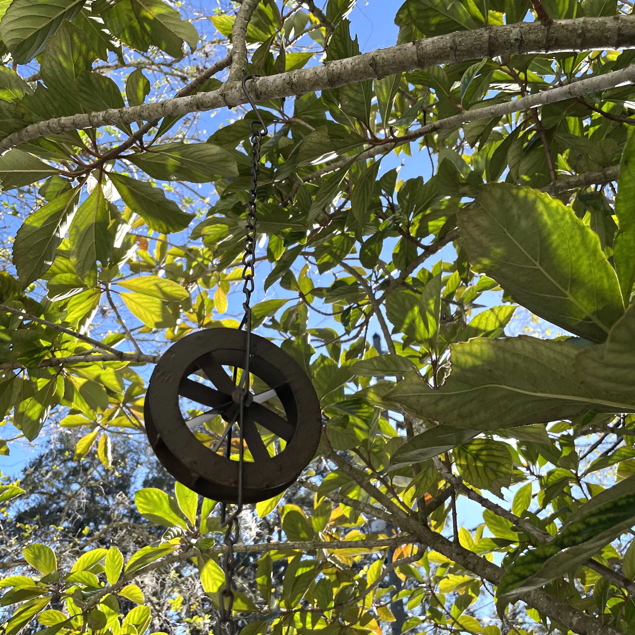 media item thumbnail