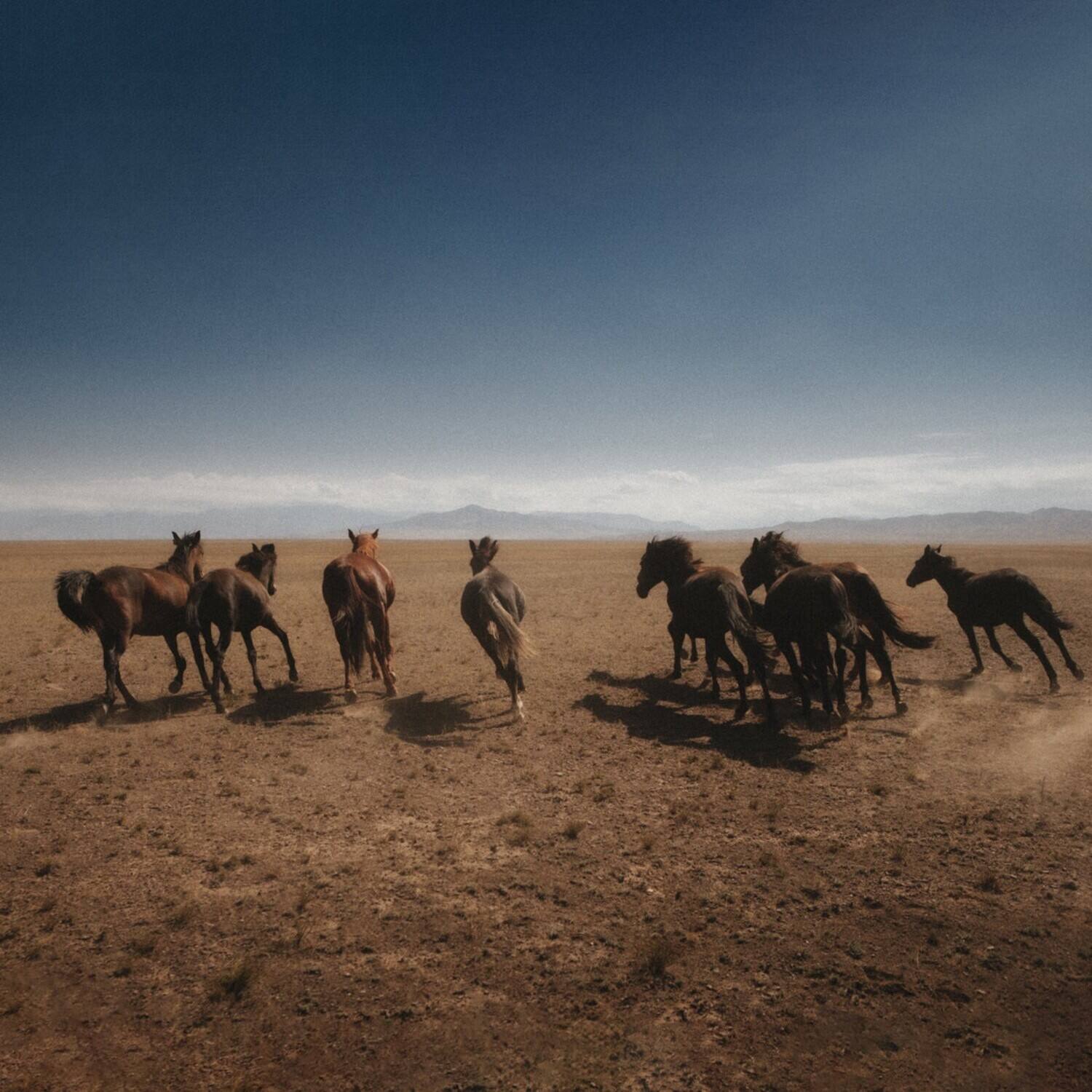 Front. Dan Shake - Verde   - VINYL LP.